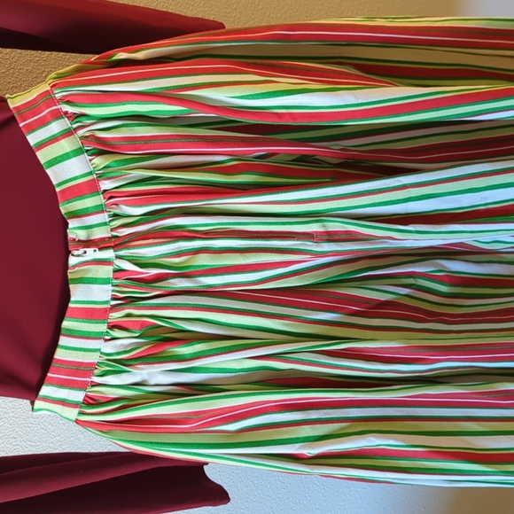 Pinup Couture Petite Jenny skirt in Candy Cane Stripe - Picture 4 of 4